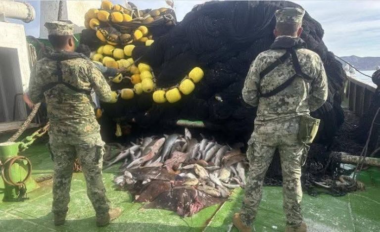 Producto que fue encontrado 