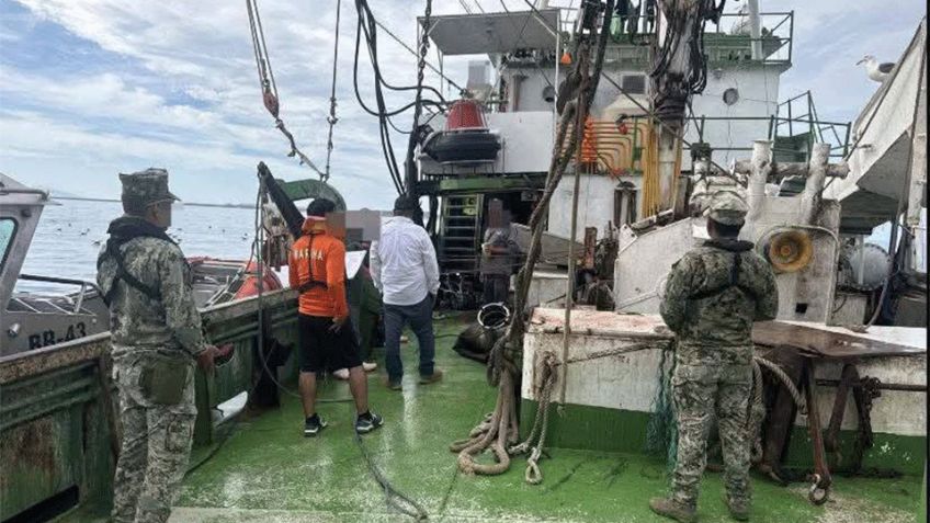 Marina asegura buque de Guaymas con 62 ejemplares de tiburón y cuatro de mantarraya