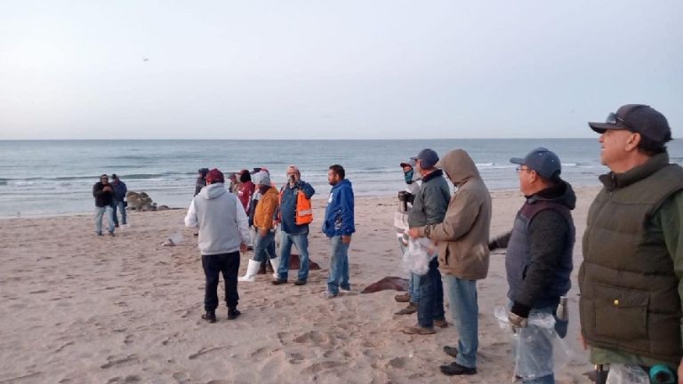 Desmiente rumores difundidos en redes sociales