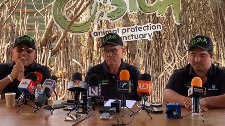 Santuario Ostok cierra sus puertas por violencia en Culiacán, animales son enviados a Mazatlán
