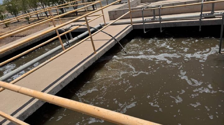 Unidad Deportiva en Navojoa cuenta con sistema de riego por goteo de agua tratada