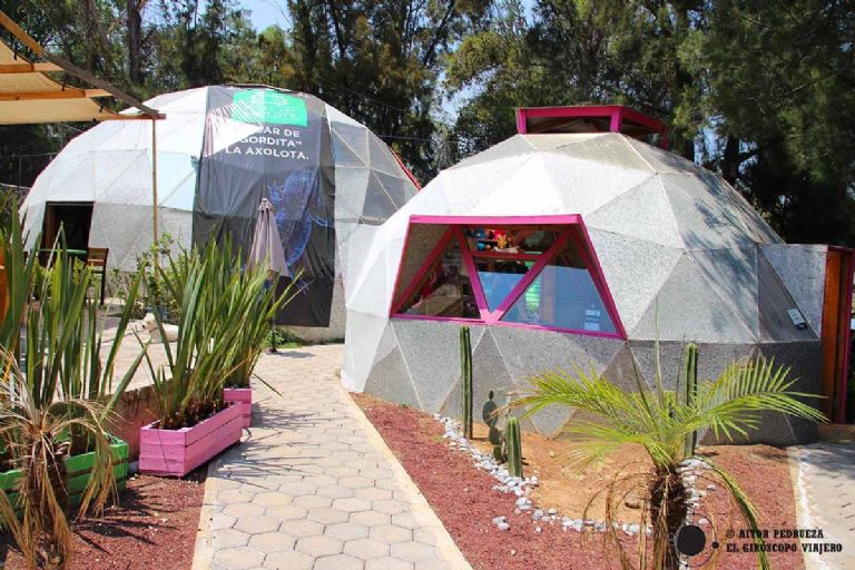 Axolotitlan en la cdmx