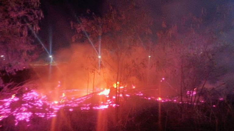 Bomberos de Cajeme controlan incendio en predio de Ciudad Obregón