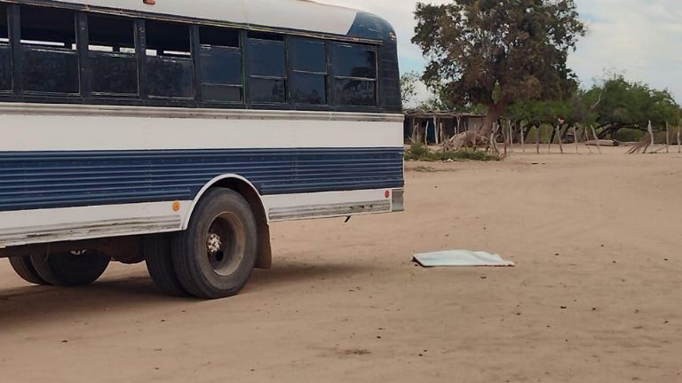 La pequeña murió de manera instantánea en el lugar