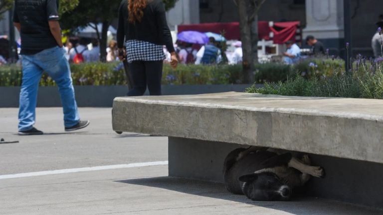 Las autoridades de salud recomiendan tomar medidas ante calor extremo