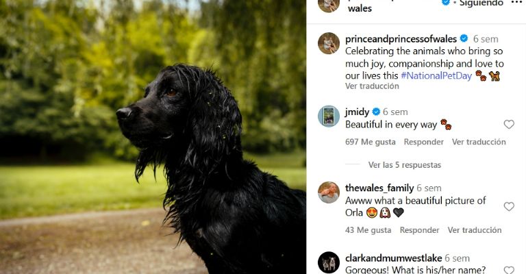 Príncipe William y Kate Middleton agrandan la familia con nuevos integrantes