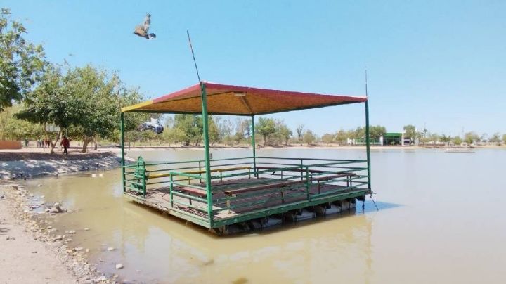 Lamentan el retiro del muelle flotante de la Laguna del Náinari en Ciudad Obregón
