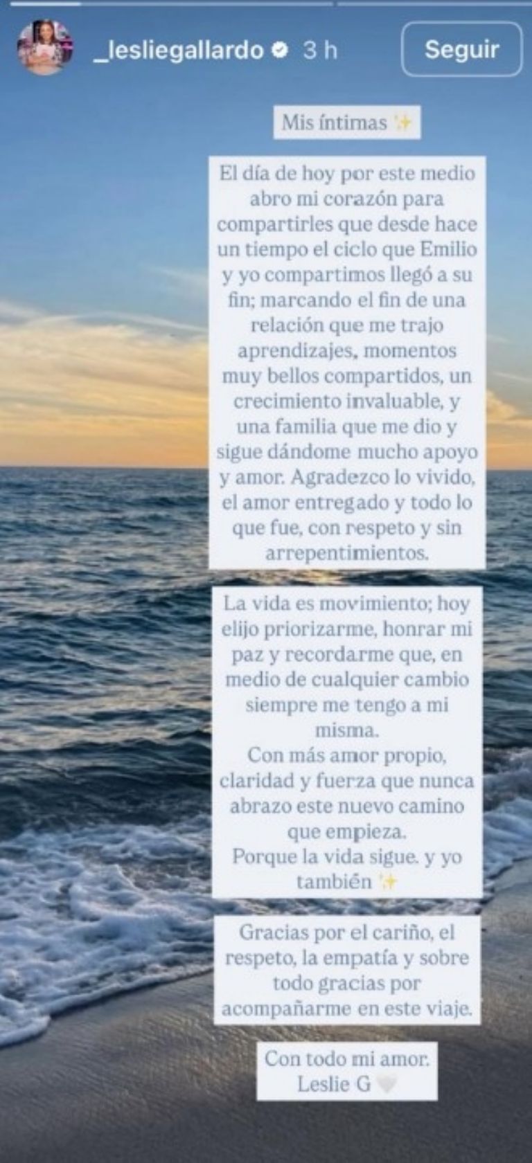 Leslie Gallardo realizó el anuncio en su Instagram 