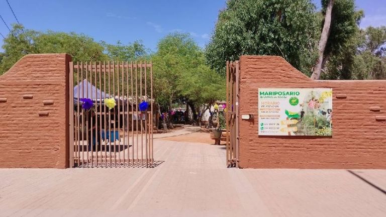 Abrió sus puertas el jardín etnobotánico en Cócorit con riqueza biológica