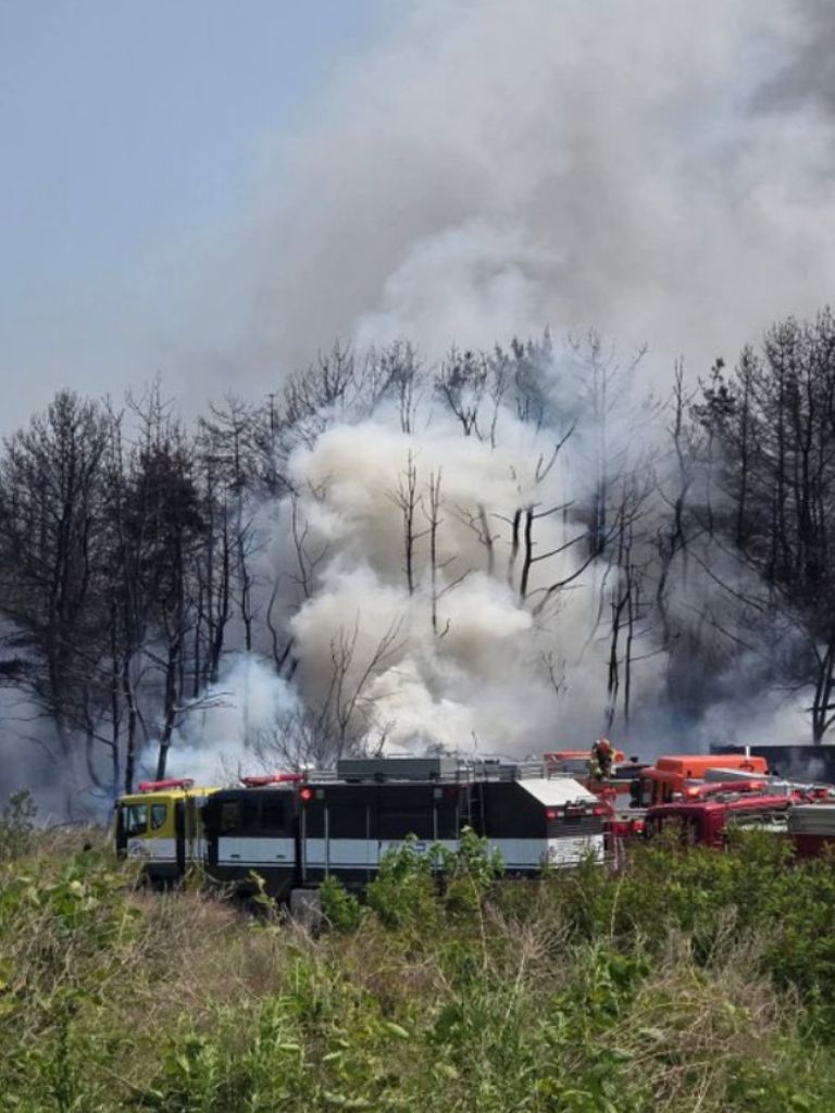 Zona del avión naval accidentado en Corea del Sur