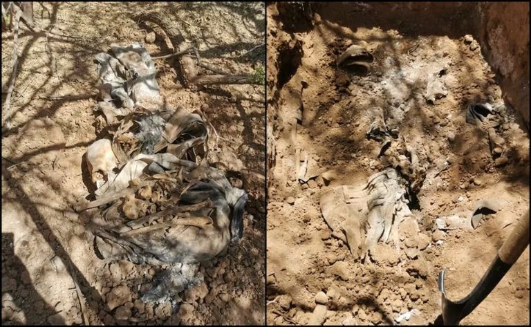 cuerpos localizados en fosas clandestinas