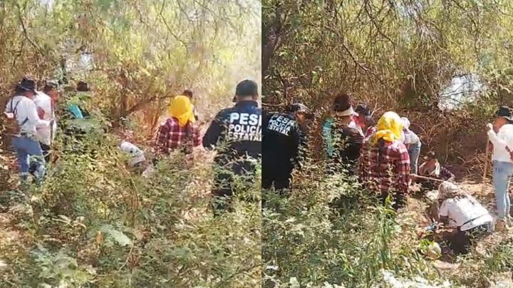 Guerreras Buscadoras hallan tres osamentas y camioneta abandonada en San Ignacio Río Muerto