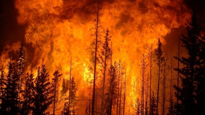 En Canadá, evacúan a 17 Mil residentes de Manitoba por incendios forestales activos
