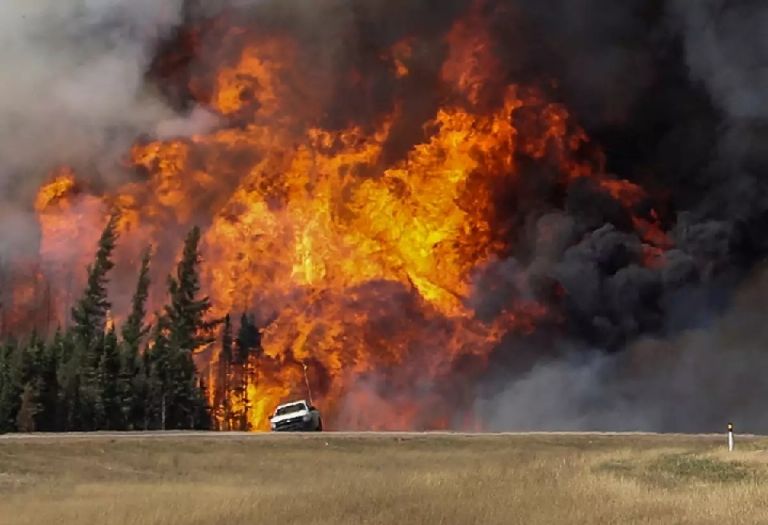 La temporada de incendios forestales en Canadá obliga a los ciudadanos a buscar refugio
