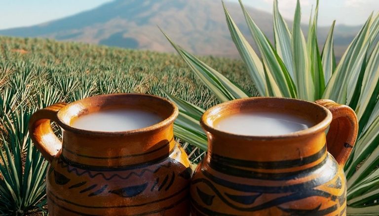 Pulque, 'Bebida de los dioses'