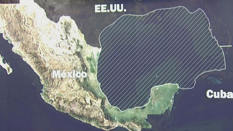 Gobierno de México confirmó demanda a Google. Foto: Internet