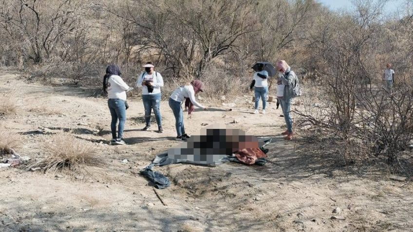 Madres Buscadoras de Sonora encuentran a hombre muerto en monte de Hermosillo