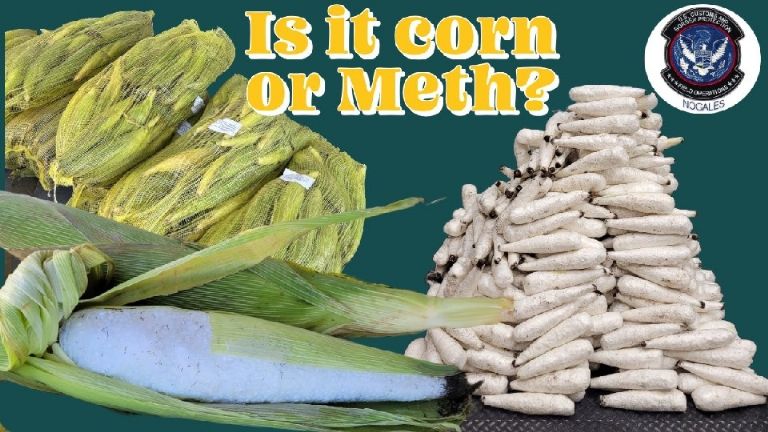 Droga asegurada en Nogales Arizona en mazorcas de maiz