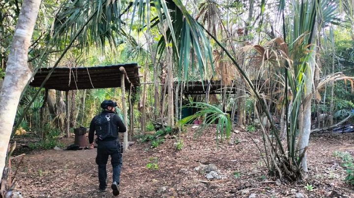 Desmantelan laboratorio y aseguran químicos para metanfetaminas en Quintana Roo