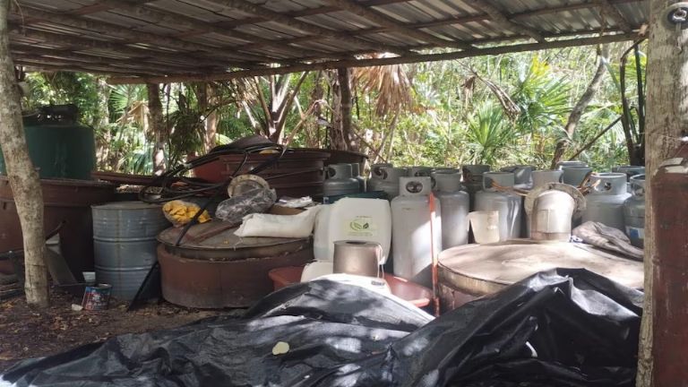 Desmantelan laboratorio y aseguran químicos para metanfetaminas en Quintana Roo