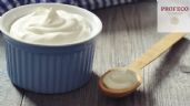 Foto ilustrativa de la nota titulada ¿Qué yogurt natural comprar? Profeco elige al mejor de todos