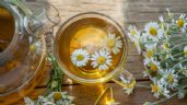 Foto ilustrativa de la nota titulada Propiedades curativas de la manzanilla: Beneficios y formas de usarla