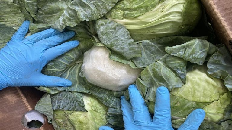 Droga oculta en coles