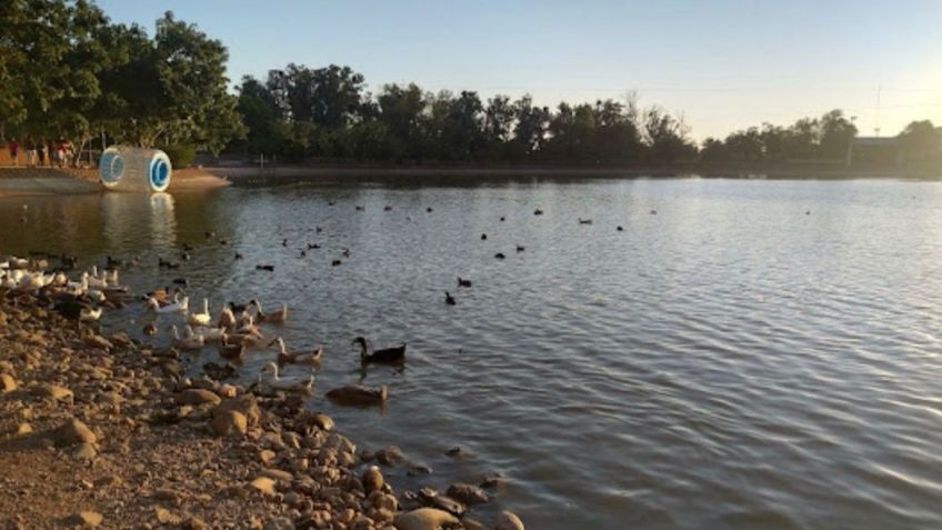 Clima Obregón, Sonora, HOY 15 de junio: Pronostican altas temperaturas y posibles lluvias