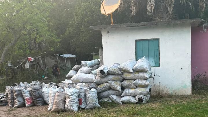 Autoridades aseguran más de tres toneladas de carbón vegetal durante cateo en Tamaulipas