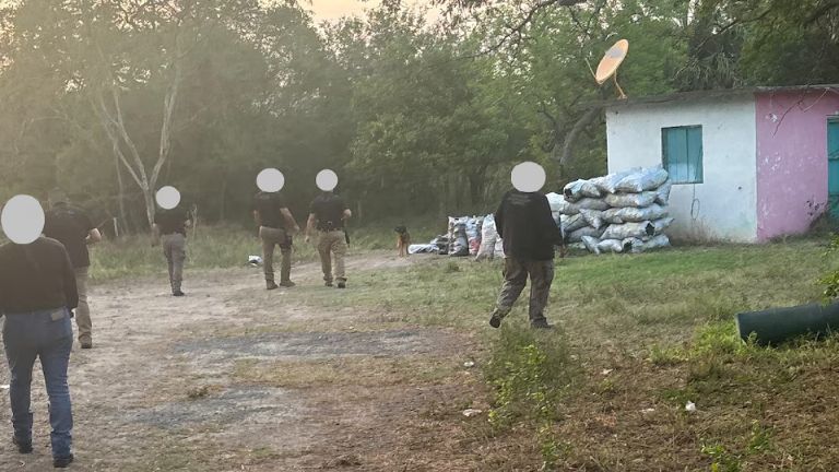 Autoridades aseguran más de tres toneladas de carbón vegetal durante cateo en Tamaulipas