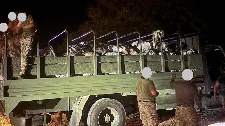 Autoridades aseguran más de tres toneladas de carbón vegetal durante cateo en Tamaulipas