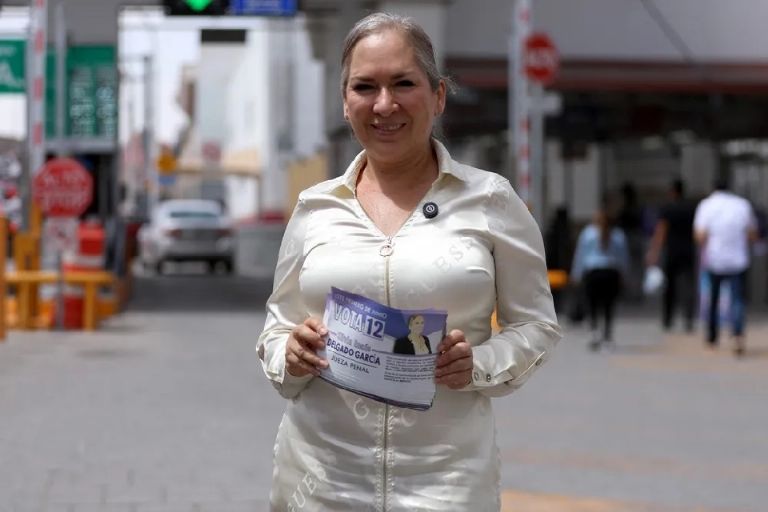 ONGS califican como altamente riesgosa designacion de Silvia Delgado como jueza