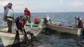 Foto ilustrativa de la nota titulada: Guaymas: Advierten que el Congreso busca criminalizar al sector pesquero