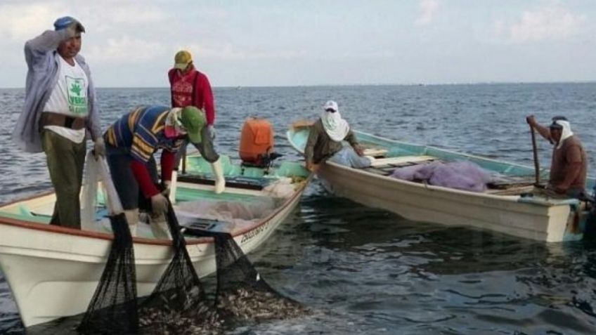 Guaymas: Advierten que el Congreso busca criminalizar al sector pesquero