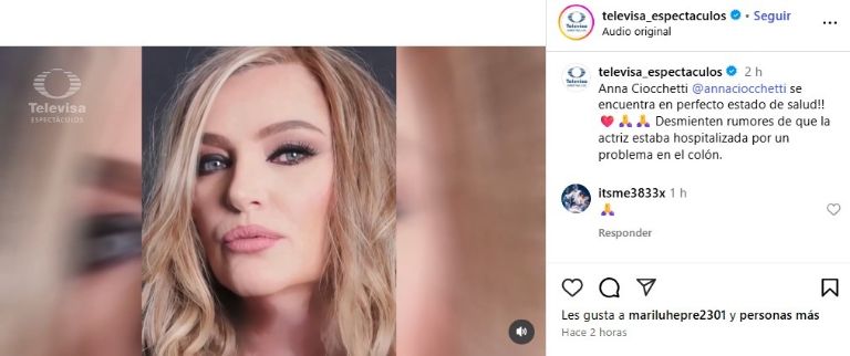 Televisa confirma hospitalización de Anna Ciocchetti