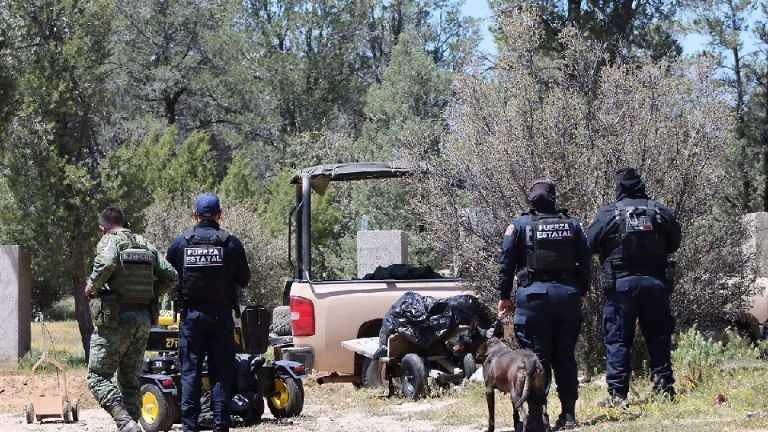 Autoridades capturan a integrantes de Los Rusos durante operativo conjunto en Tecate
