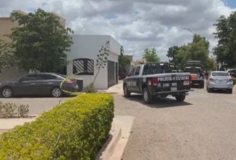 Los hechos ocurrieron el pasado domingo en el fraccionamiento Las Misiones de Obregón. Foto: Facebook