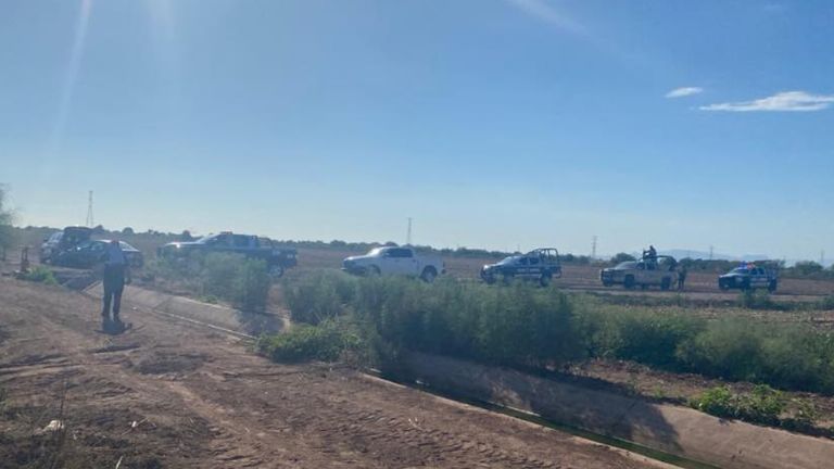 Localizan cadáver calavérico en predio del Valle del Yaqui