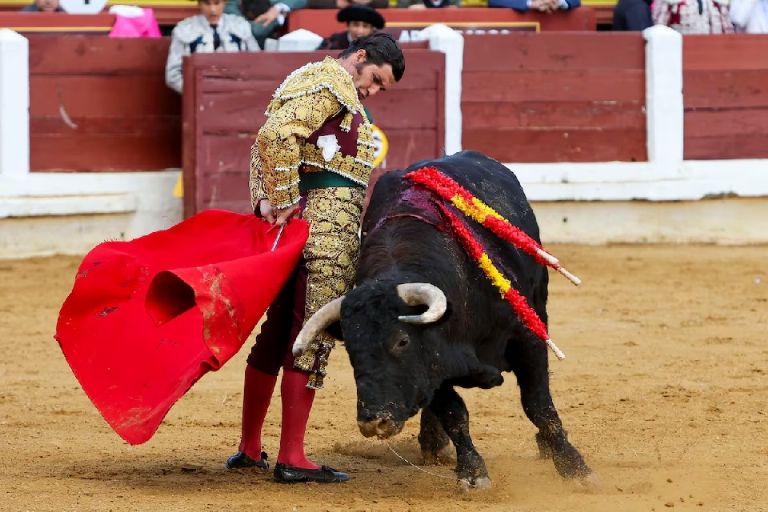 Nueva iniciativa prohibe el uso de banderillas y estocada a los toros