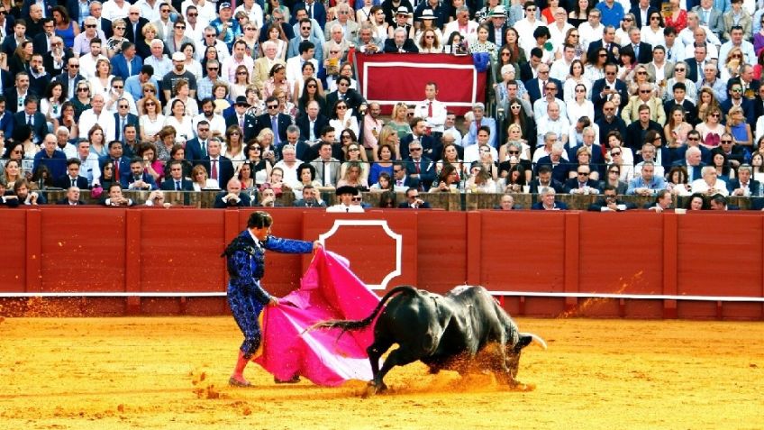 Plaza de Toros México considera inviable realizar corridas de toros con nueva legislación