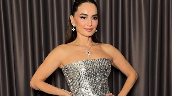 Ana de la Reguera habla sobre su vida amorosa y revela su opinión sobre los inmigrantes