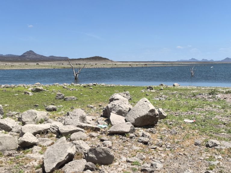 La escasez de agua empeora día a día 