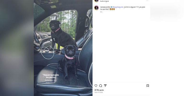 Ángela Aguilar así respondería a Joanna Vega Biestro y a sus fans por ataques