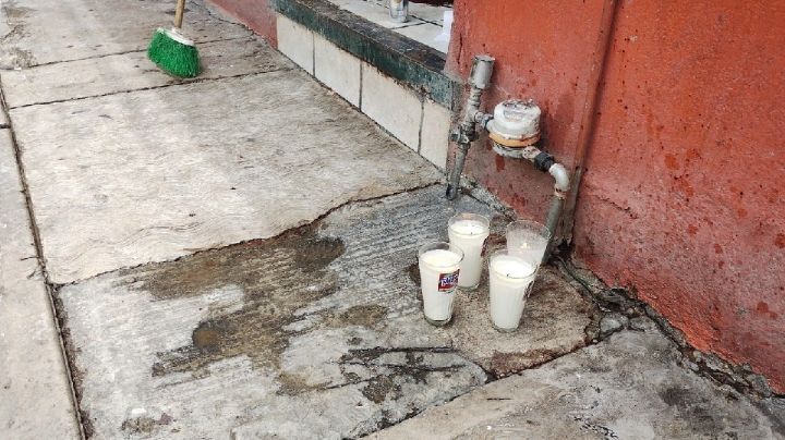 Pierde la vida mujer al proteger a su hijo durante masacre de Barrio Nuevo en Irapuato