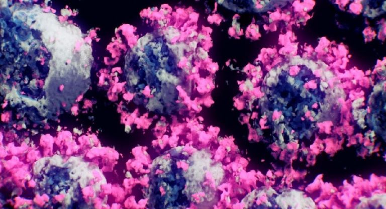 La variante del Covid-19 Nimbus mantiene en alerta a la OMS por su presencian en varios paises