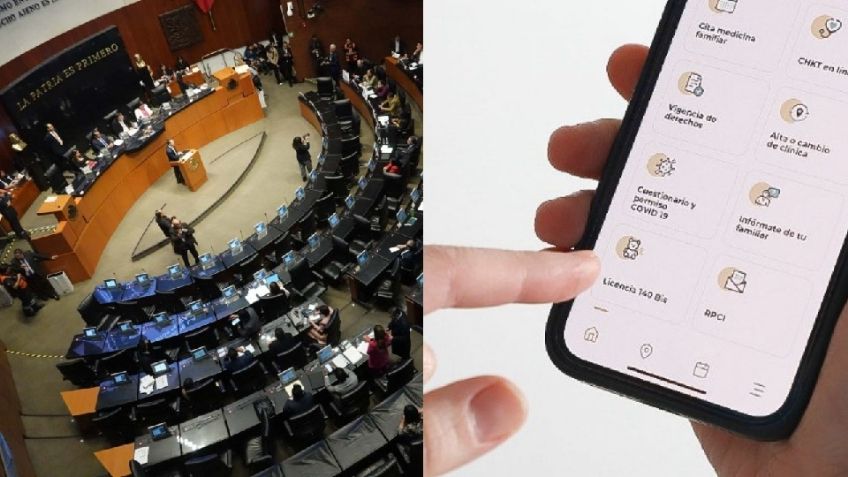 Senado aprueba creación de CURP biométrica, será útil en casos de desaparición forzada