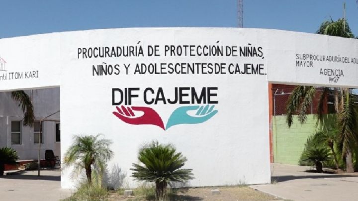 Aumenta número de solicitudes de adopción en albergue 'Itom Kary' de Ciudad Obregón