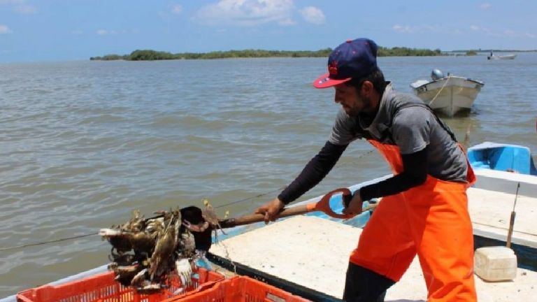 Pescadores de Empalme y Guaymas esperan alivio económico con temporada de jaiba