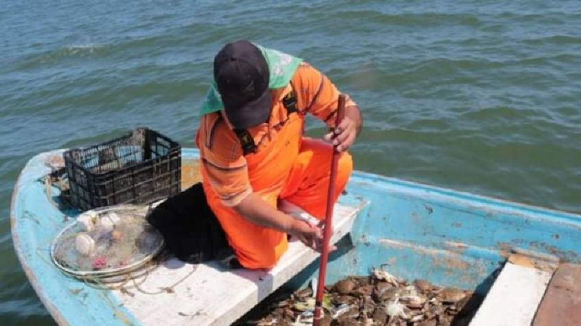 Pescadores de Empalme y Guaymas esperan alivio económico con temporada de jaiba