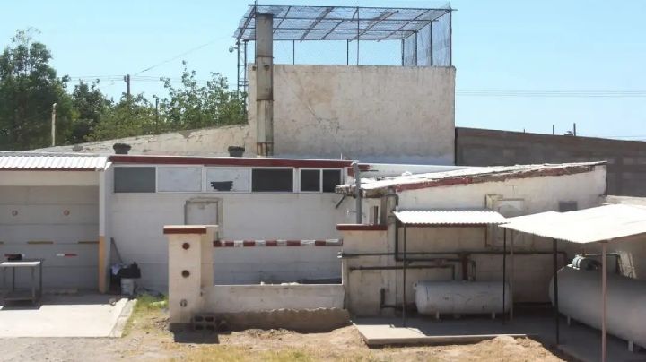 FGE confirma 381 cadáveres encontrados en crematorio de Ciudad Juárez por saturación